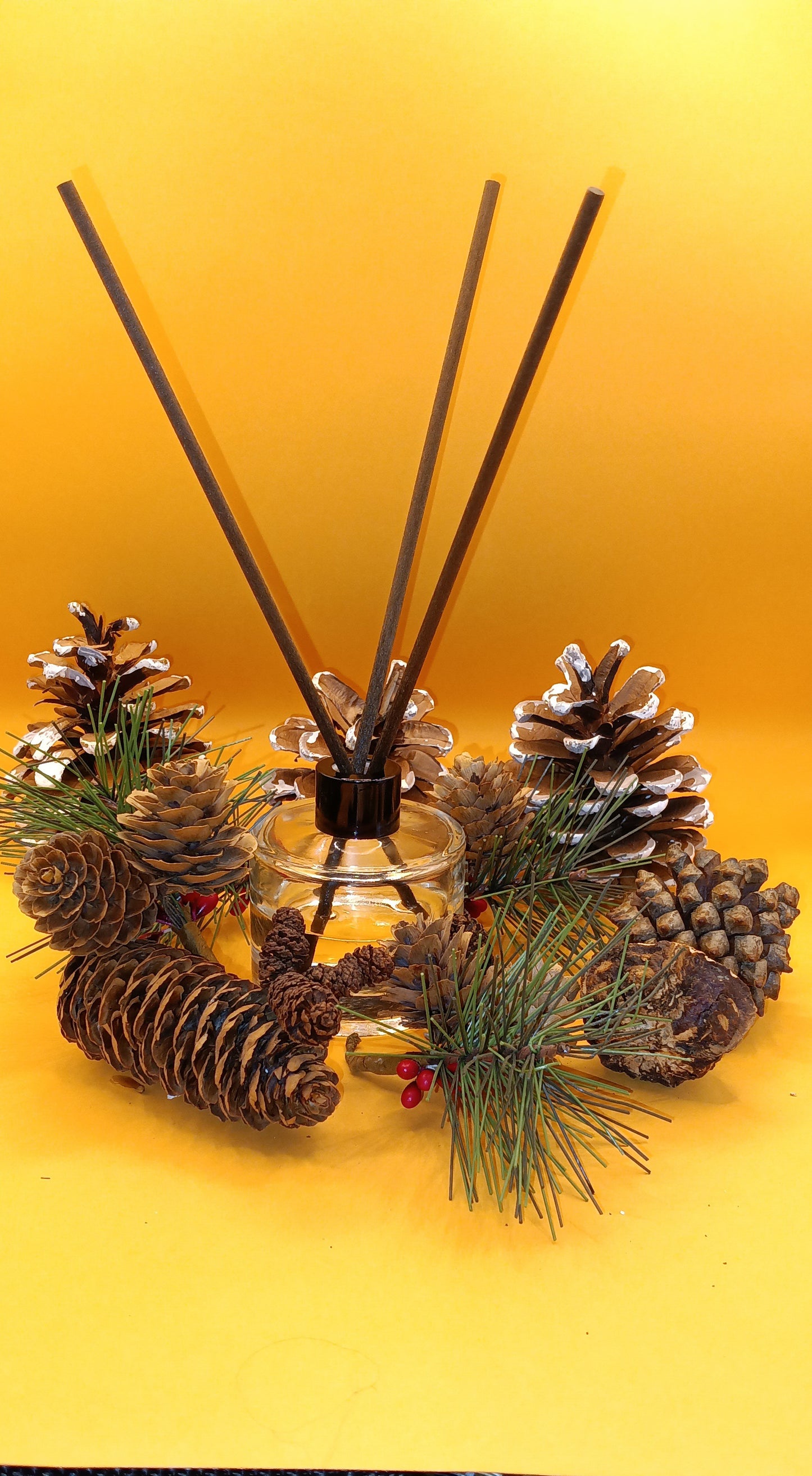 Reed Diffuser with Stick