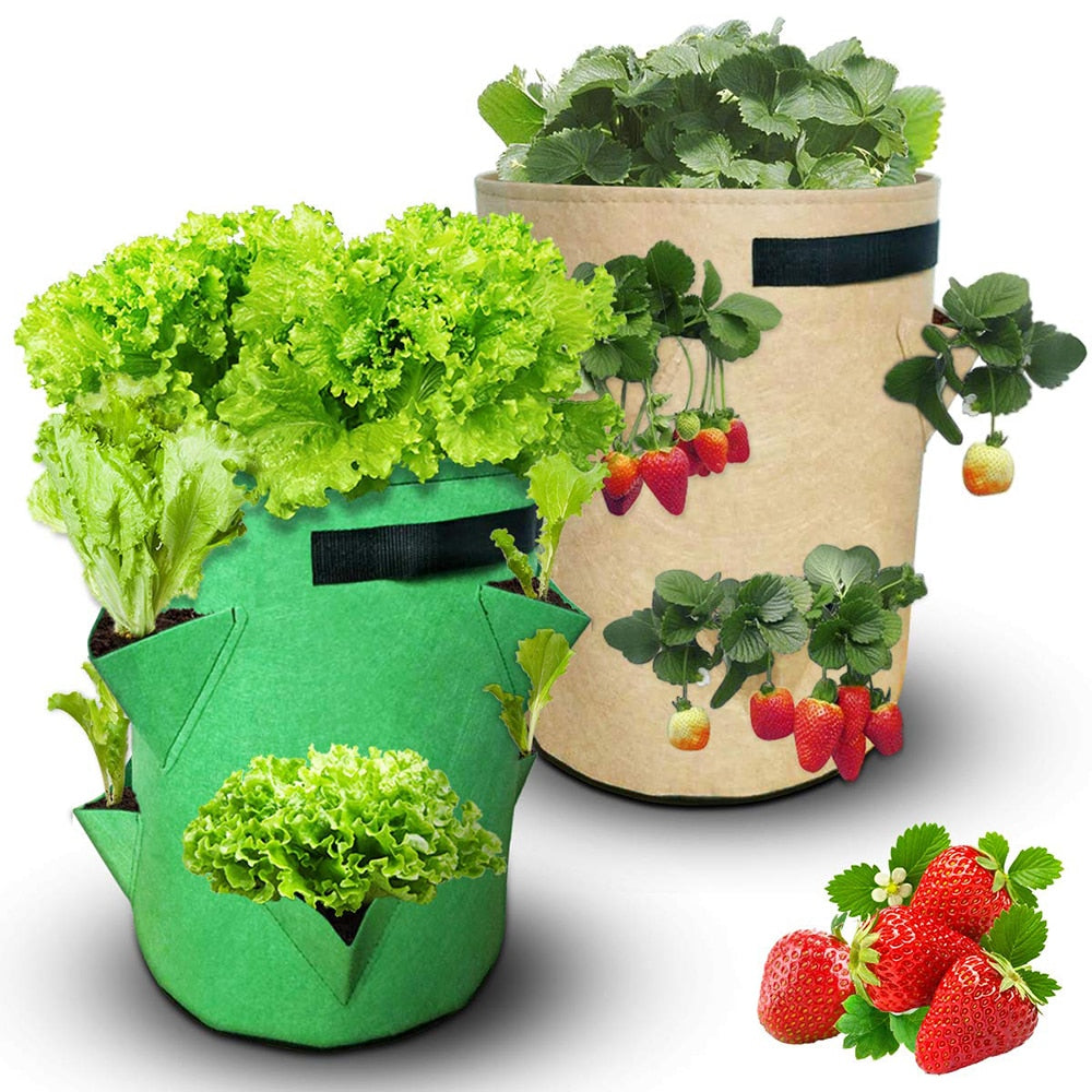 Bolsa transpirable para plantas de jardín al aire libre
