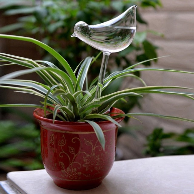 Plants Self Watering Device