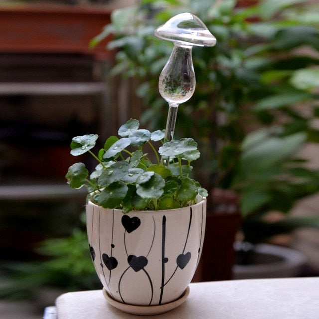 Plants Self Watering Device